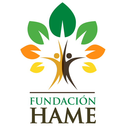 logo de la fundación hame de grupo hame